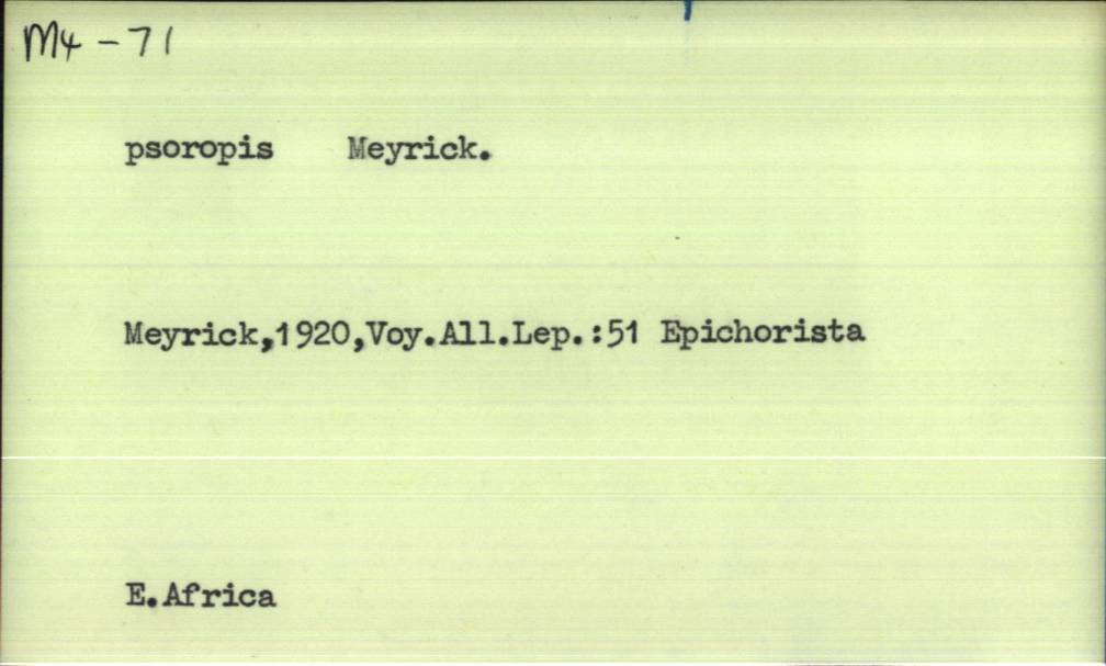 front of card